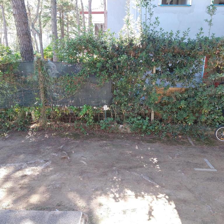 Tana dell Volpe - Two-Bedroom Apartment - 25