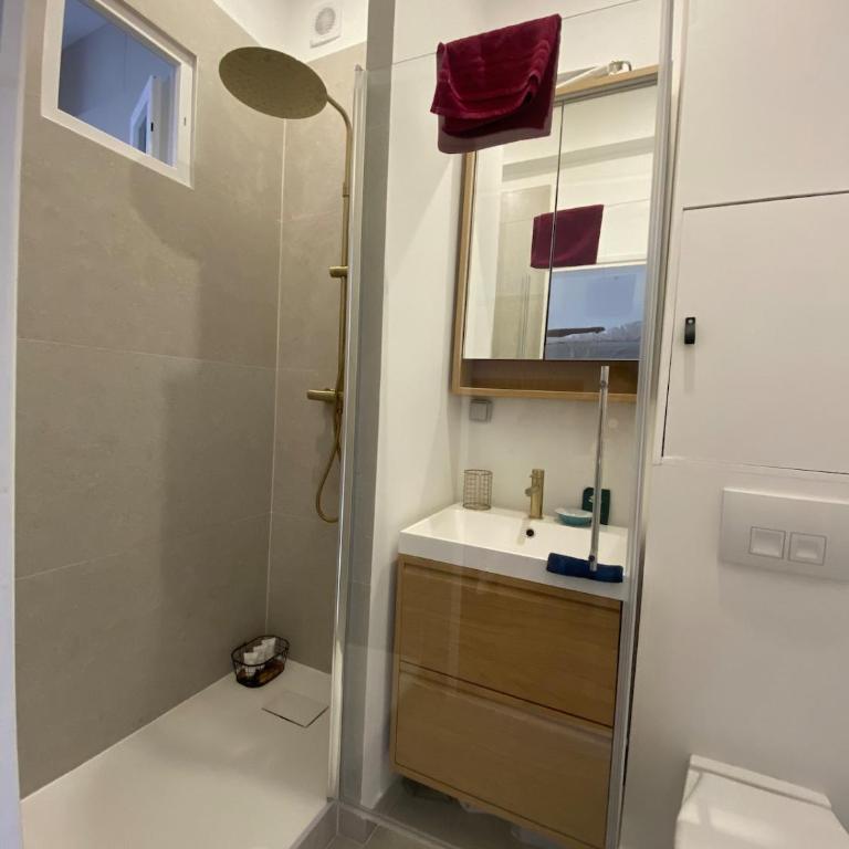 Atypical and charming studio int he heart of Paris - Appartement 1 Chambre - 5