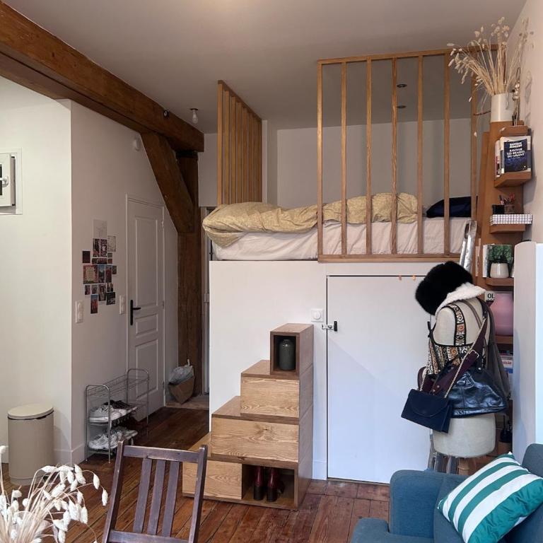 Atypical and charming studio int he heart of Paris - Appartement 1 Chambre - 8