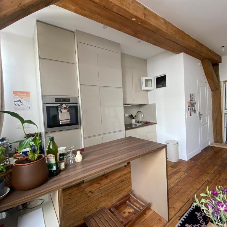 Atypical and charming studio int he heart of Paris - Appartement 1 Chambre - 10