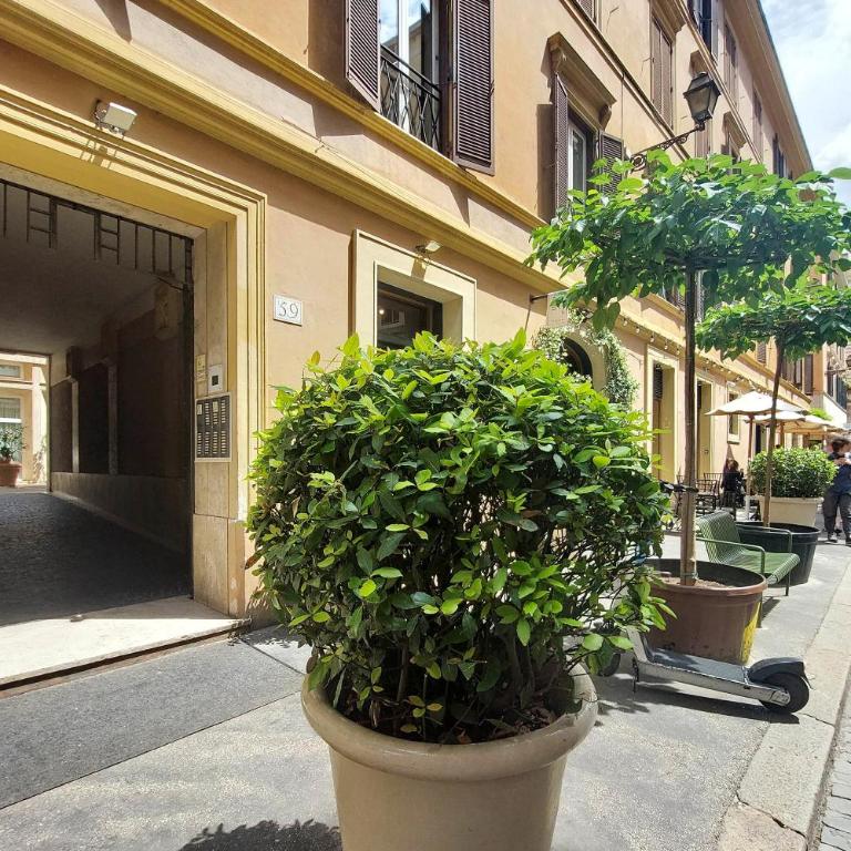Frezza - Apartment - 37