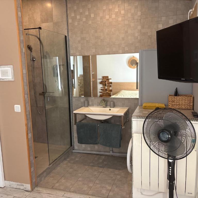 Cocon et sa terrasse - Appartement 1 Chambre - 6