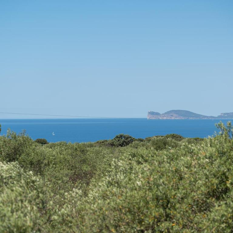 Il Belvedere di Padre Bellu - vista mare Alghero - Appartamento con 1 Camera da Letto, Vista Mare e Terrazza - 6