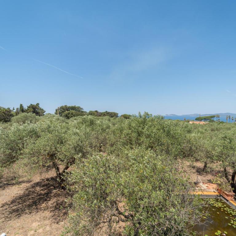 Il Belvedere di Padre Bellu - vista mare Alghero - Appartamento con 1 Camera da Letto, Vista Mare e Terrazza - 34