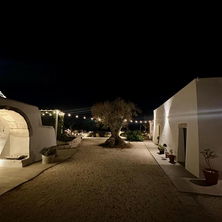 Casa Solatia Villa with Pool in Ostuni - Villa con Piscina Privata - 4