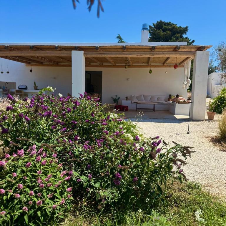 Casa Solatia Villa with Pool in Ostuni - Villa con Piscina Privata - 35