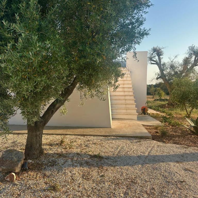 Casa Solatia Villa with Pool in Ostuni - Villa con Piscina Privata - 44