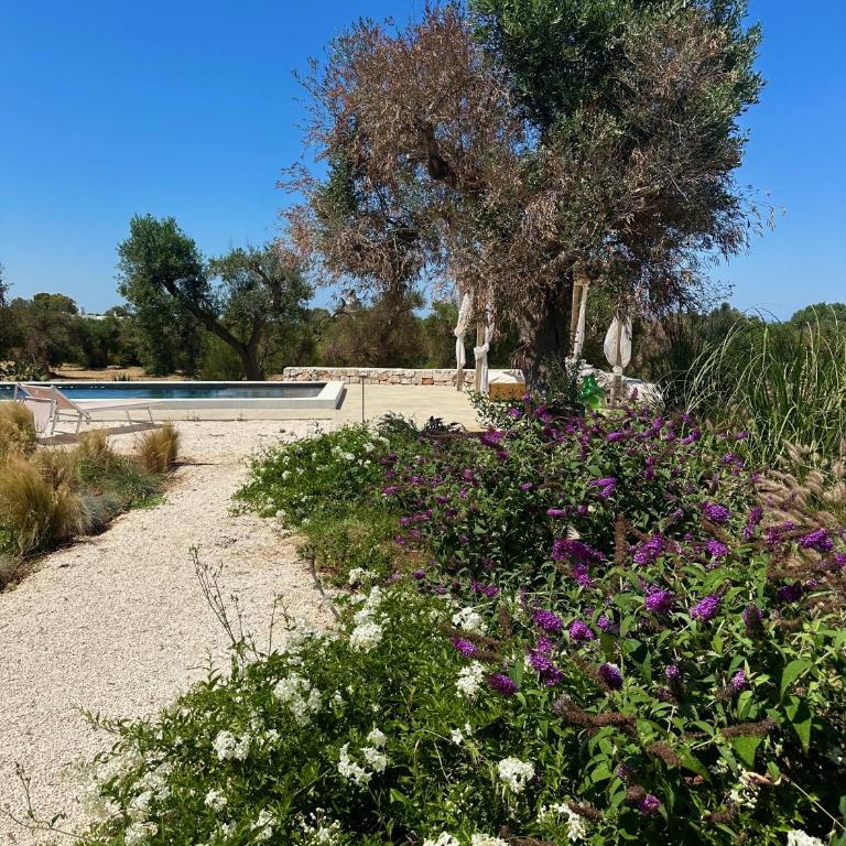 Casa Solatia Villa with Pool in Ostuni - Villa con Piscina Privata - 45