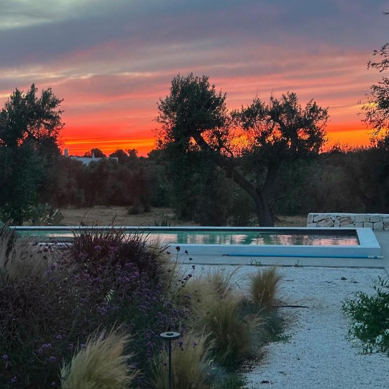 Casa Solatia Villa with Pool in Ostuni - Villa con Piscina Privata - 46