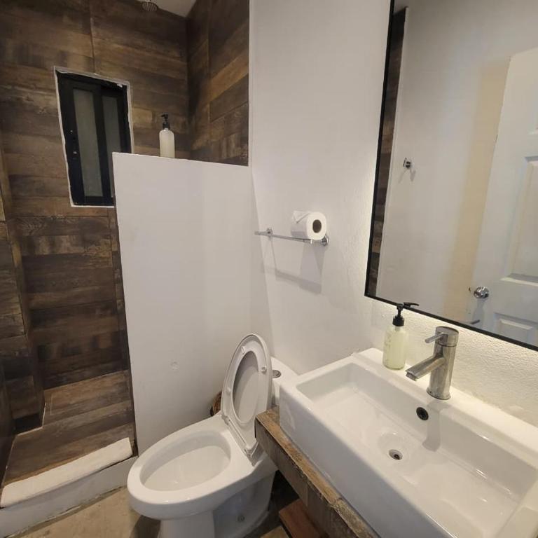 Live Coco Suites - Hotel Boutique & Rooftop - Standard Twin Room - 6