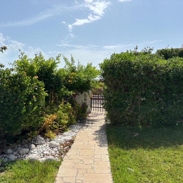 Villa Casario - Villa - 28