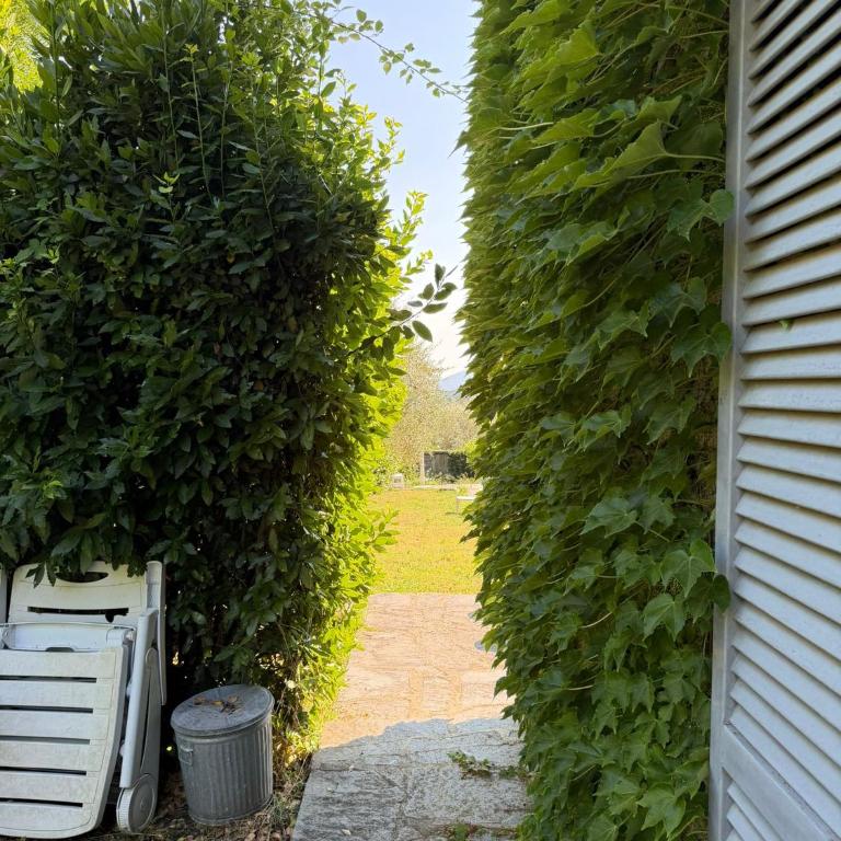 Villa in collina con Piscina - Villa con 2 Camere da Letto - 35