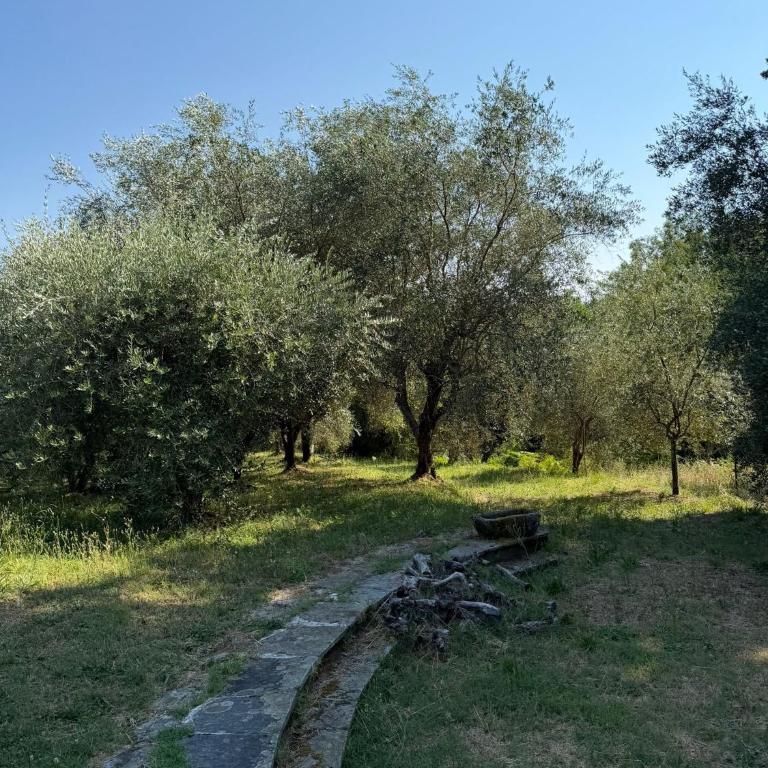 Villa in collina con Piscina - Villa con 2 Camere da Letto - 38