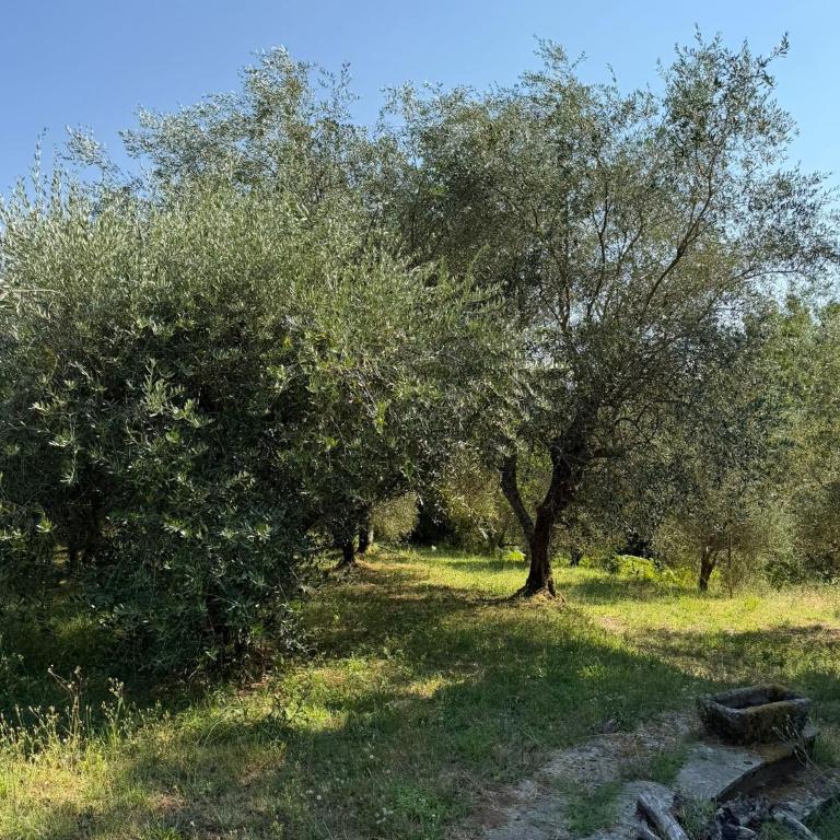 Villa in collina con Piscina - Villa con 2 Camere da Letto - 69