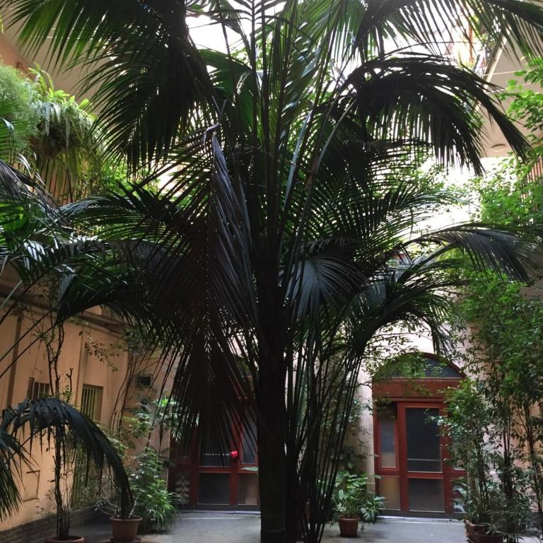 Klee House Trastevere - Appartamento con 2 Camere da Letto - 9