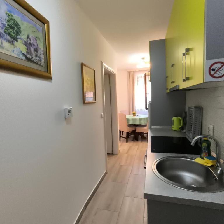 Apartments Center Sarajevo - Apartman sa 1 Spavaćom Sobom - 17