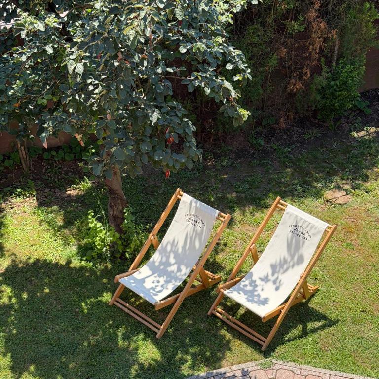 Apartments Flora - Appartement 1 Chambre - 19