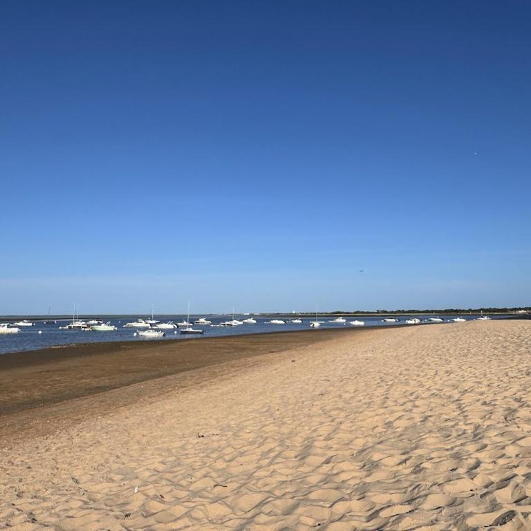 La Parenthèse - sea view and calm in Arcachon L'Aiguillon - Estudio - 16
