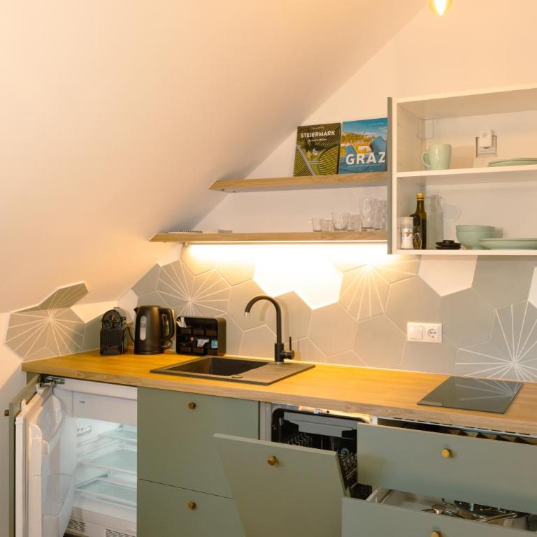 Geidorf Residenz - Serviced Apartments & Parking - Studio Lit King-Size - 3