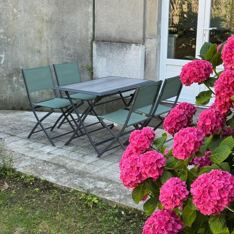 Le Jardin des Caps, proche mer et port - Appartement 1 Chambre - 5