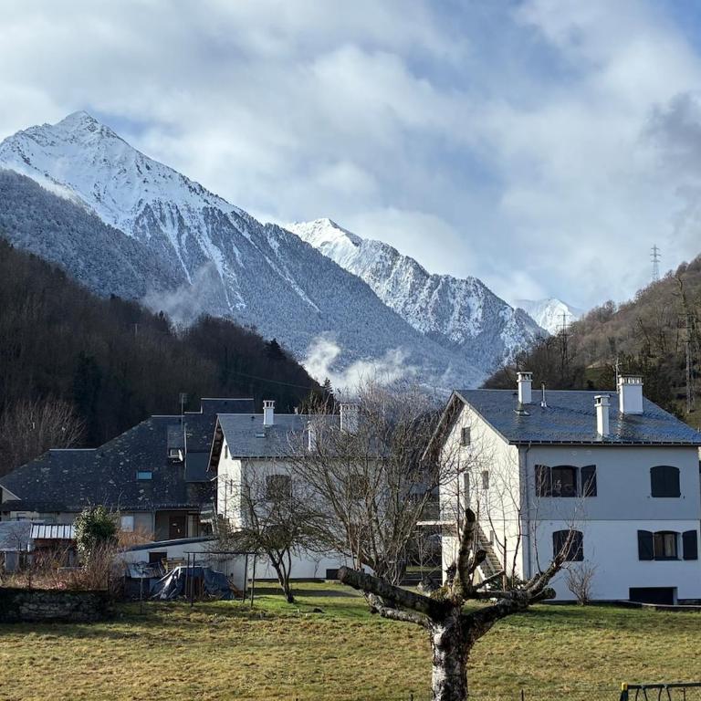 Appart 4-6 couchages Saint Lary Bastanet - Appartement 2 Chambres - 21