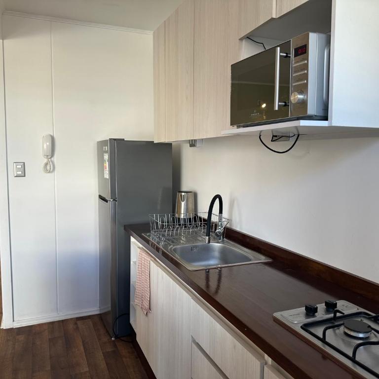 Oceana Suites Pucón vista al volcán - Two-Bedroom Apartment with Mountain View - 19