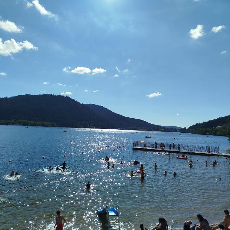 PETIT LUTIN à 250 m du bord du lac de Gérardmer - Apartment mit 2 Schlafzimmern - 18