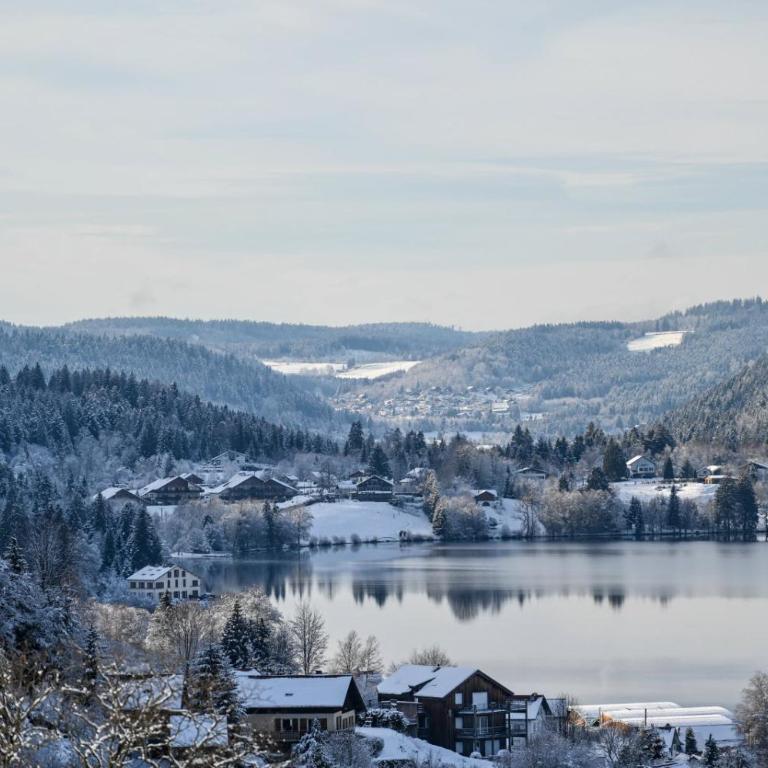 PETIT LUTIN à 250 m du bord du lac de Gérardmer - Apartment mit 2 Schlafzimmern - 29