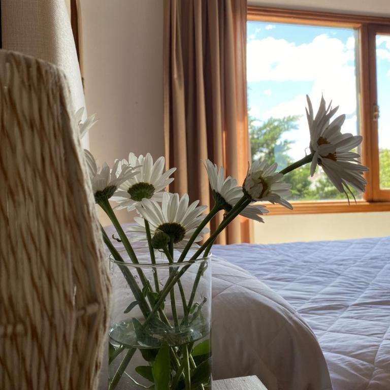 neptuno - One-Bedroom Apartment - 4