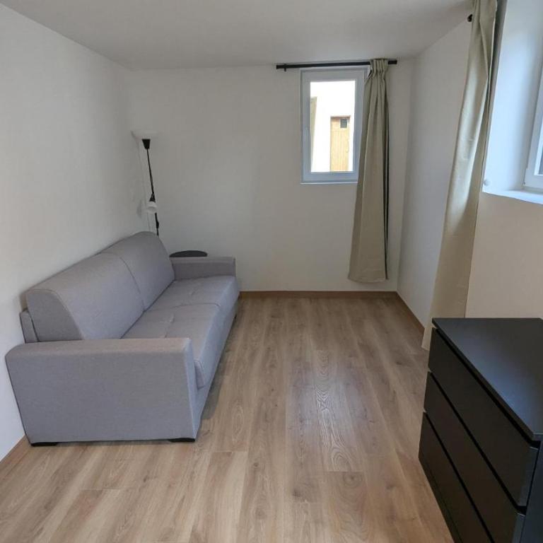 Studio deux personnes Vichy centre Avec la climatisation Parking gratuit et privé - One-Bedroom Apartment - 4