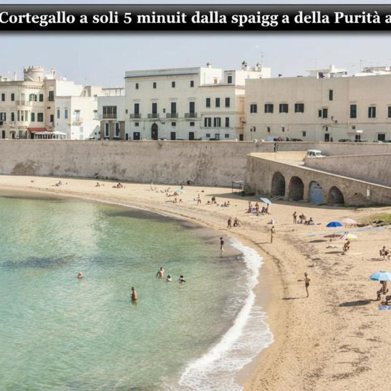 Nido Di Corte Gallo Gallipoli Centro Storico - Appartamento con 1 Camera da Letto - 1