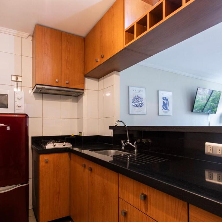 Depamento Pedro, hermoso en gran barrio Lastarria - Two-Bedroom Apartment - 4