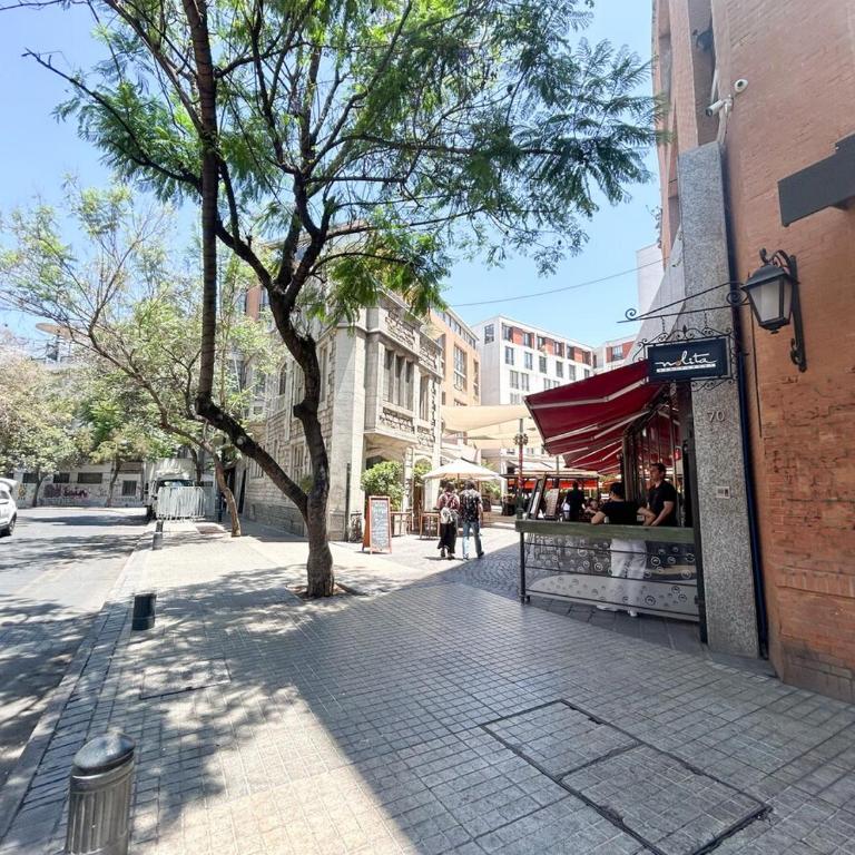 Depamento Pedro, hermoso en gran barrio Lastarria - Two-Bedroom Apartment - 7