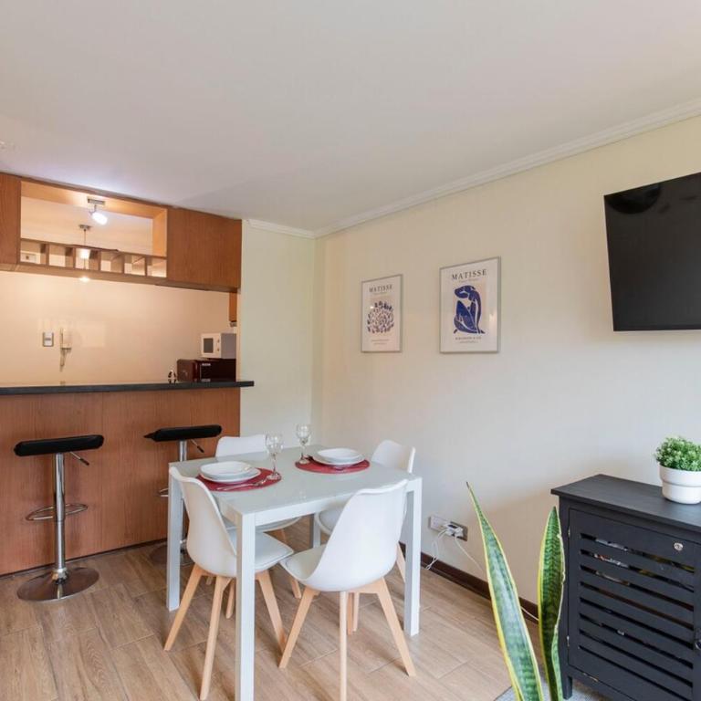 Depamento Pedro, hermoso en gran barrio Lastarria - Two-Bedroom Apartment - 12