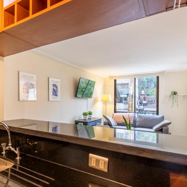 Depamento Pedro, hermoso en gran barrio Lastarria - Two-Bedroom Apartment - 21
