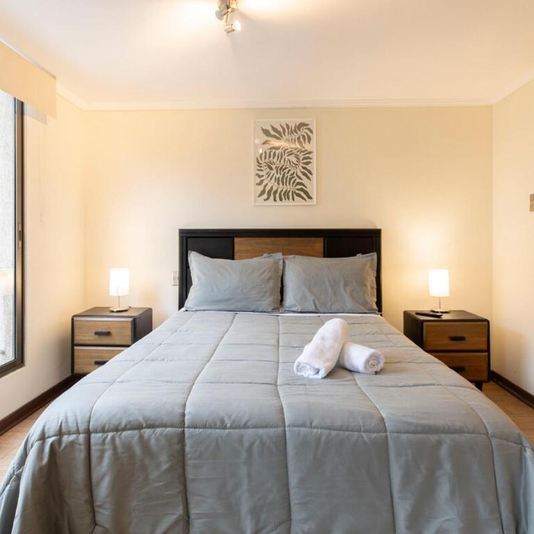 Depamento Pedro, hermoso en gran barrio Lastarria - Two-Bedroom Apartment - 23