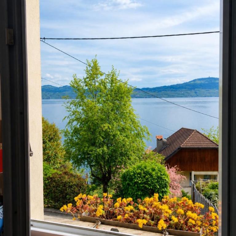 Lake-view apartment 2 minutes - Appartement 1 Chambre - 9