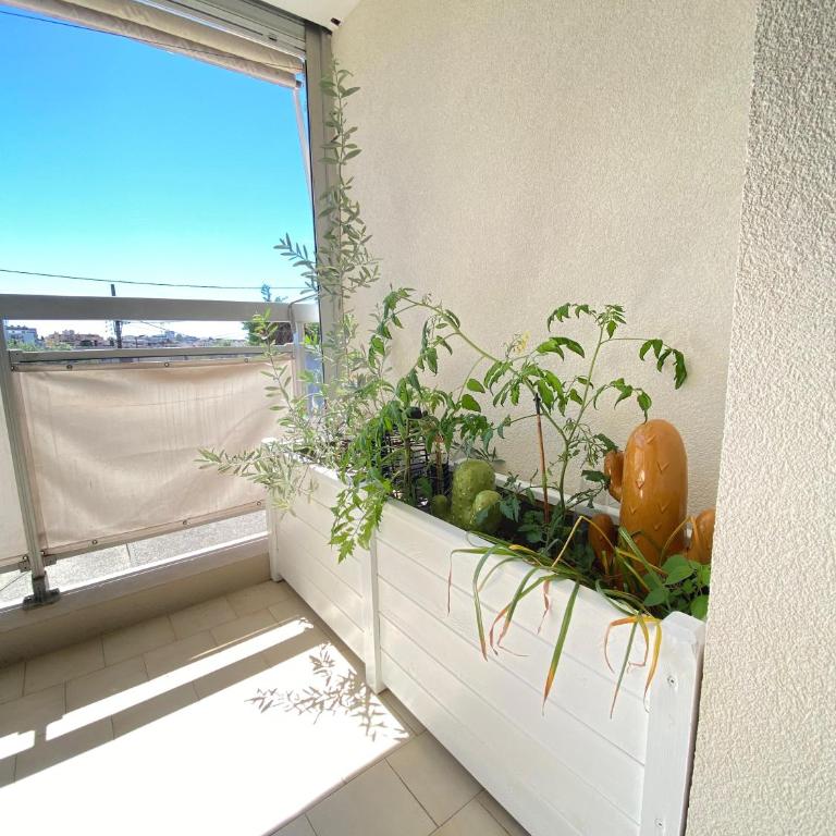 Cocon élégant avec balcon ensoleillé proche mer - Appartement 1 Chambre - 13