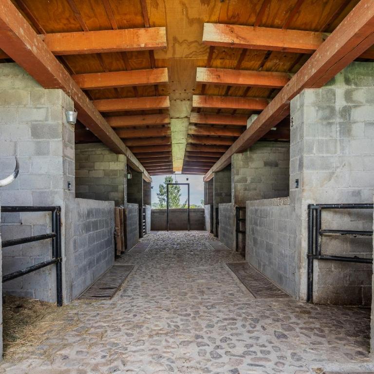 Casa Navarro - Villa - 38