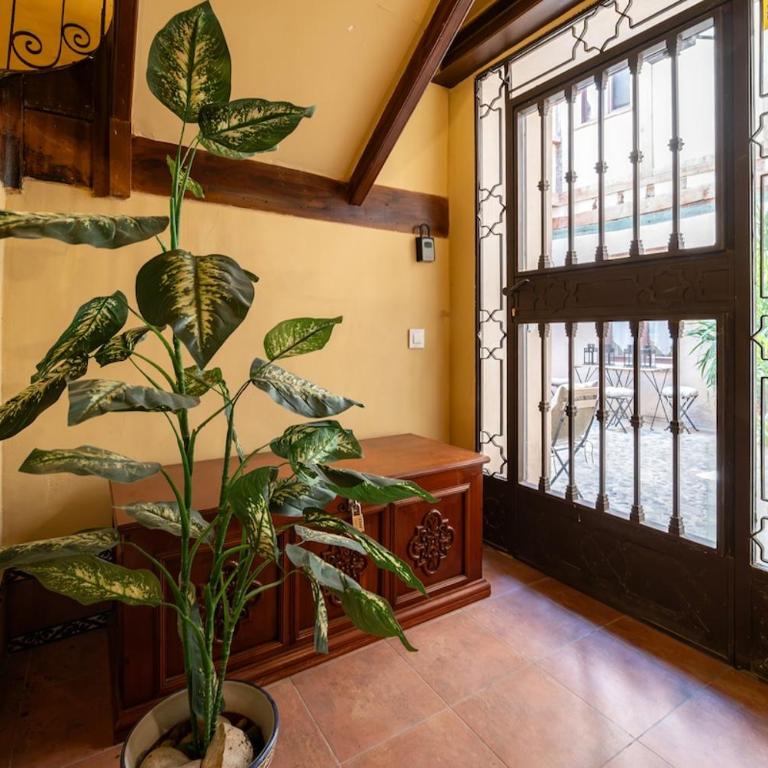 Patio in the Heart of Toledo , Pets , Family - Apartamento de 3 dormitorios - 3