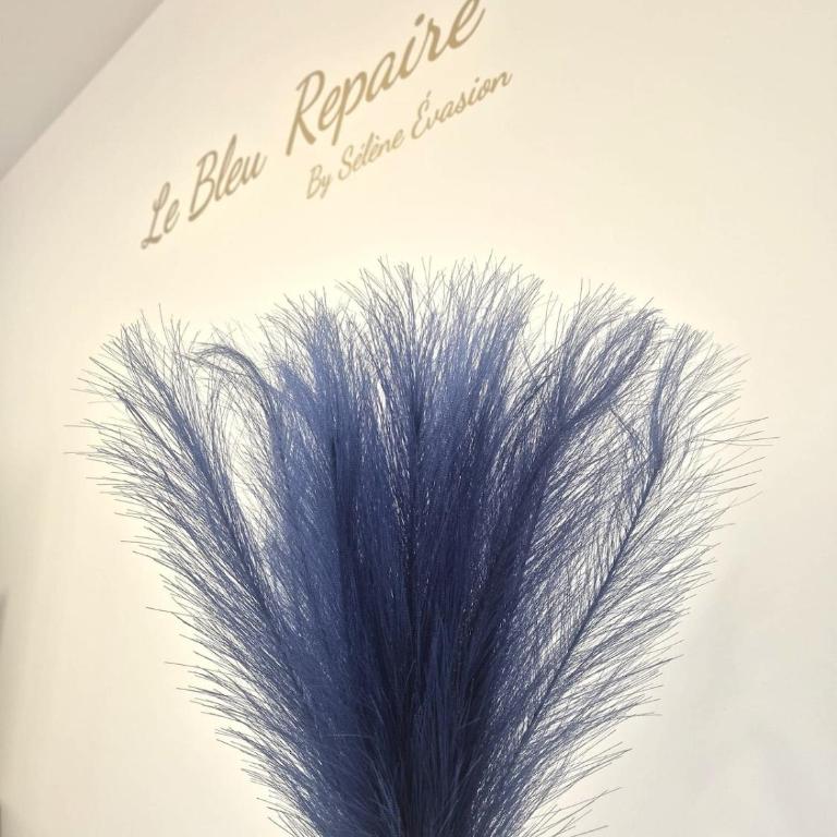 Le Bleu Repaire, by Sélène Evasion - Appartement 2 Chambres - 2