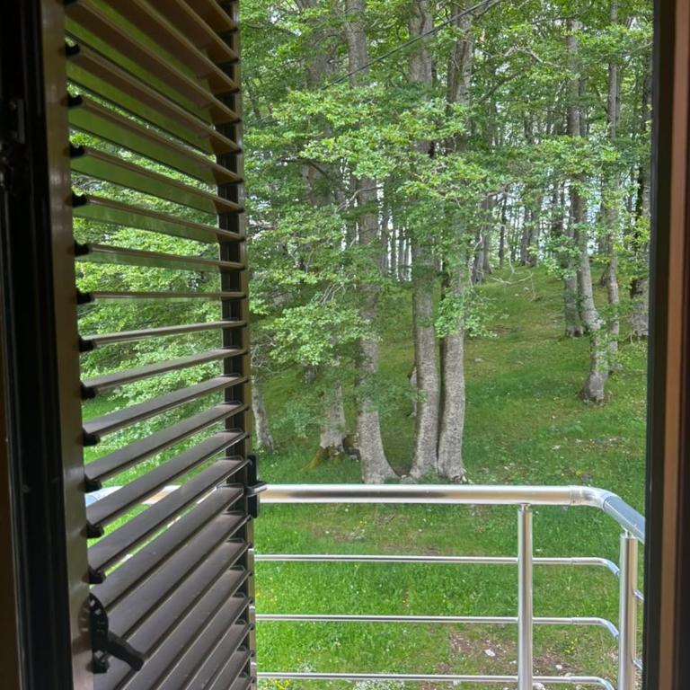Family house, Savin kuk - Kuća sa 3 Spavaće Sobe - 44