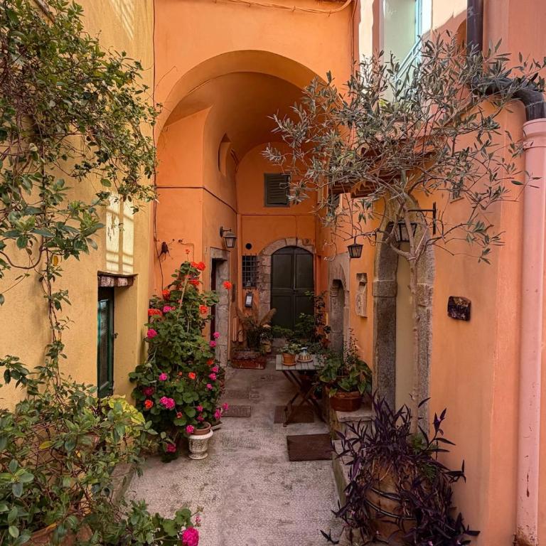 La Grotte Ivoire Cozy studio - Appartement 1 Chambre - 7
