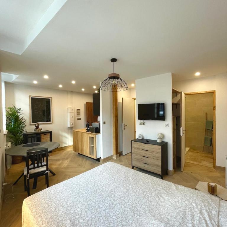 Superbe T1 centre Dijon - Appartement 1 Chambre - 1