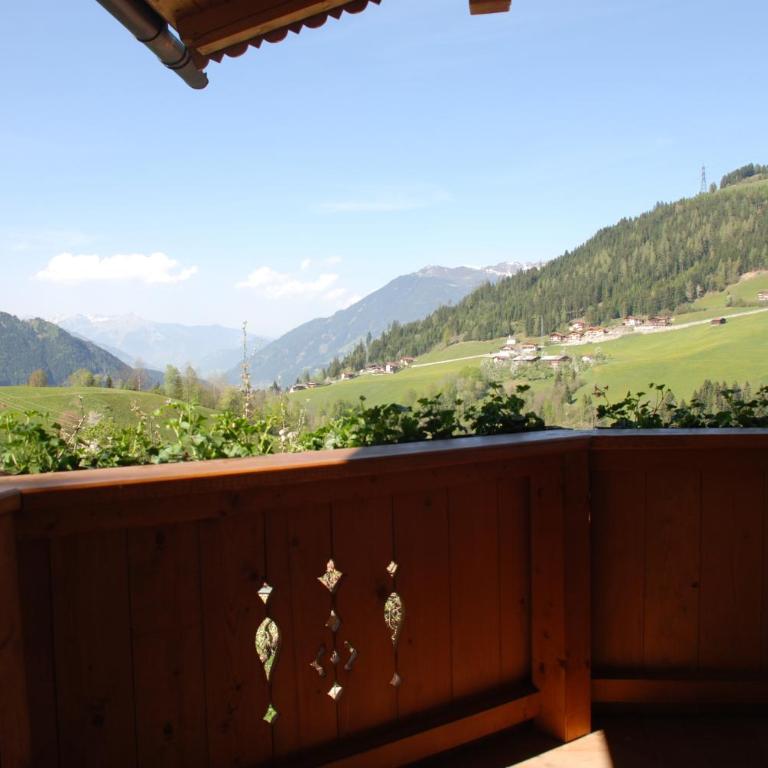 Blaserhof Hainzenberg - Apartment mit 1 Schlafzimmer und Dusche - 4