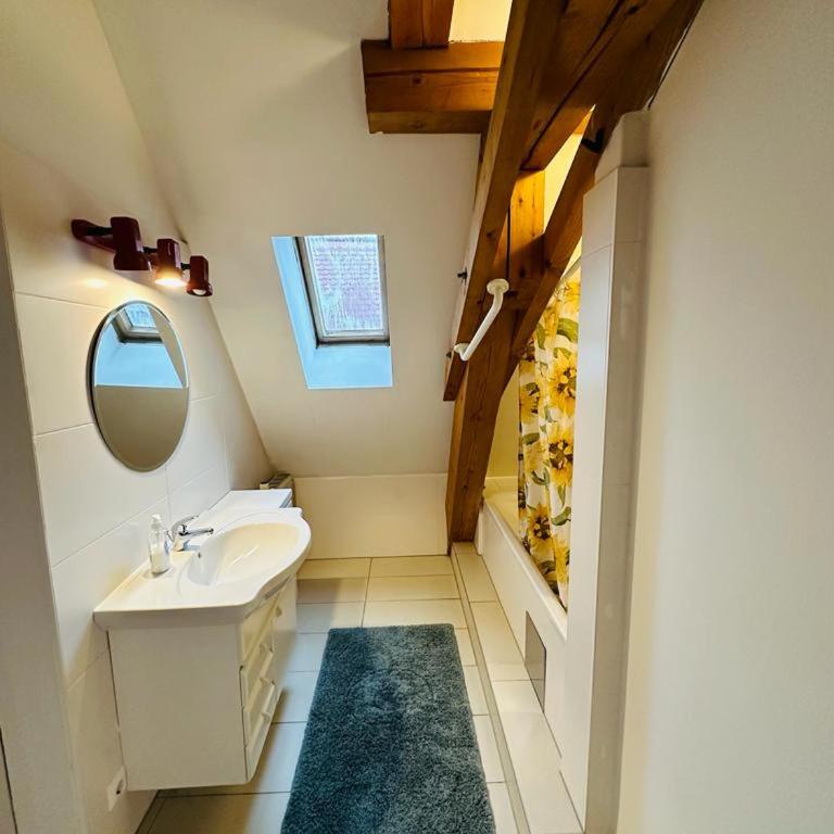 Nikola Tesla Haus, Zentrum - Appartamento con 2 Camere da Letto - 2