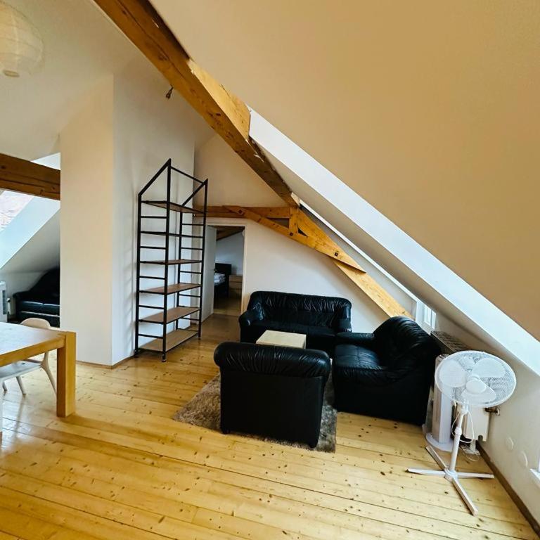 Nikola Tesla Haus, Zentrum - Appartamento con 2 Camere da Letto - 3
