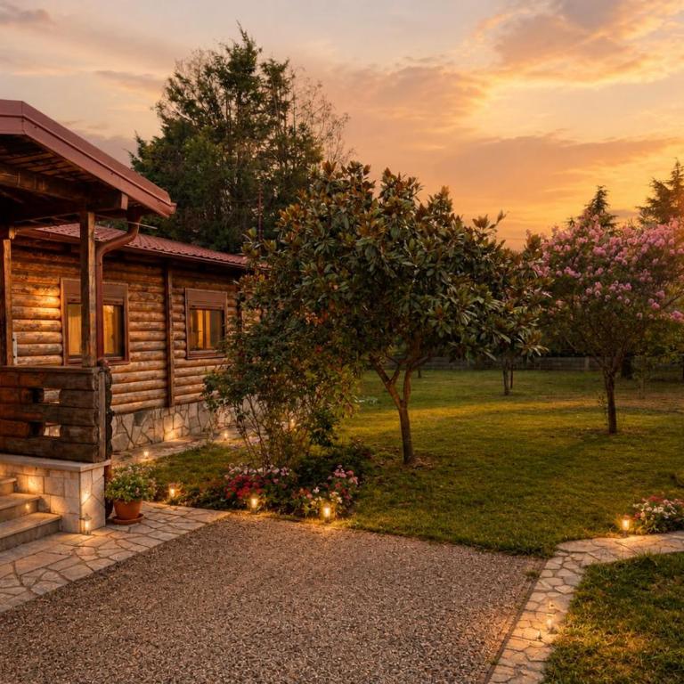 Private Pool Villa, Olive Grove & Big Yard - Vila sa 3 Spavaće Sobe - 9