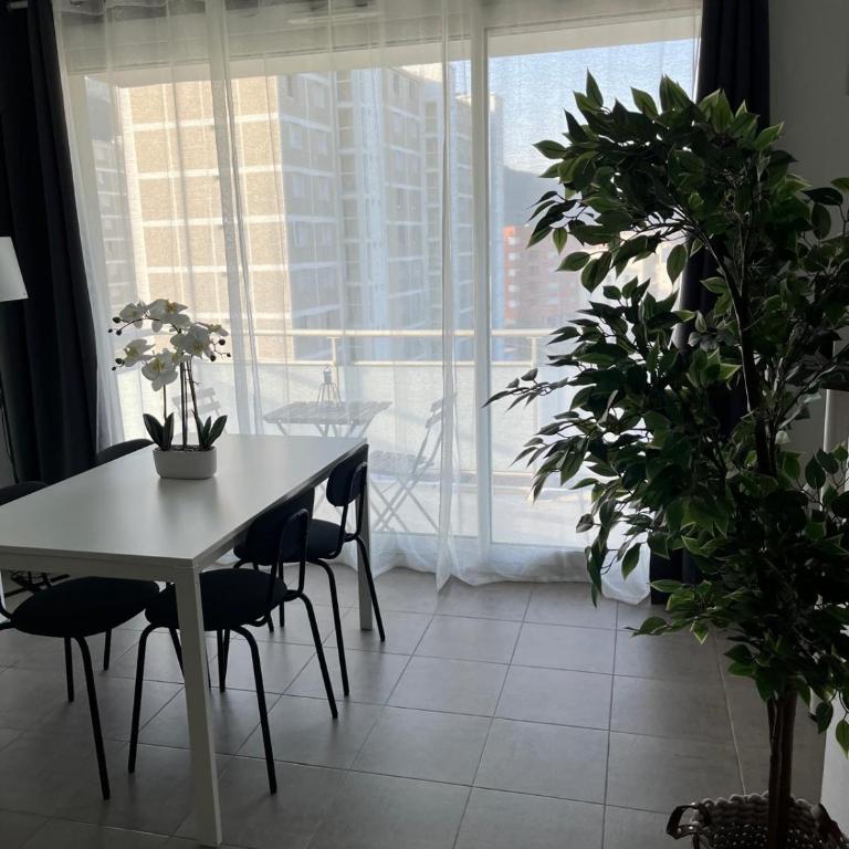 Studio Le Mûrier - Appartement 2 Chambres - 3