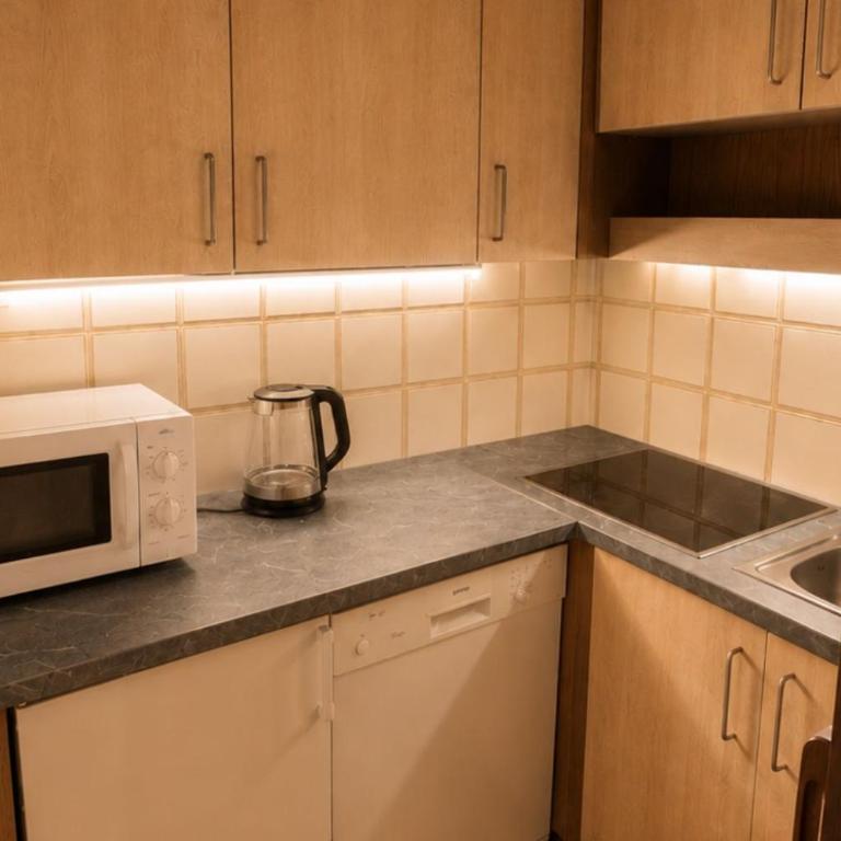 Appartements MAGLOV - Apartment mit 1 Schlafzimmer und Balkon - 4